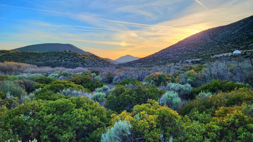 Sage Desert Dreams Mount Charleston Dış mekan fotoğraf