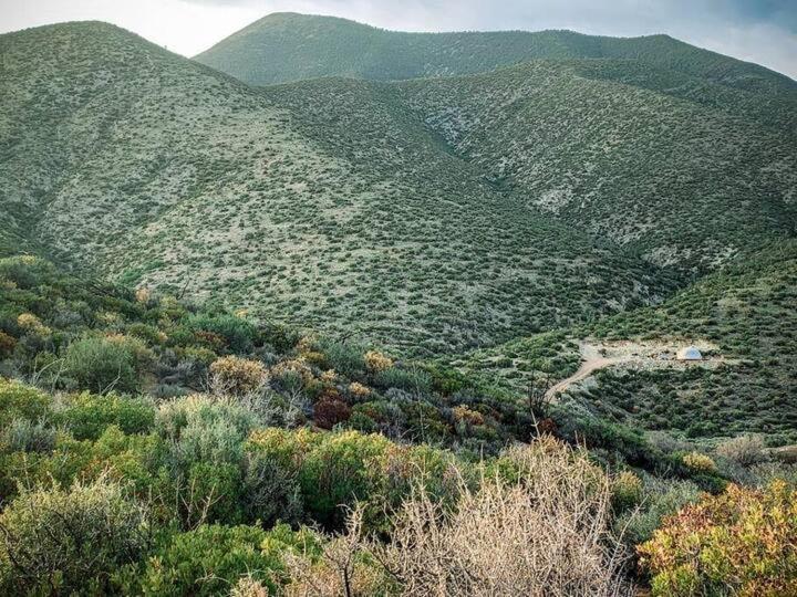 Sage Desert Dreams Mount Charleston Dış mekan fotoğraf